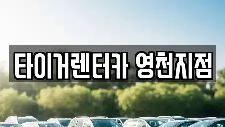 경상북도 영천시 과전동 렌트카 전문 타이거렌터카 영천지점