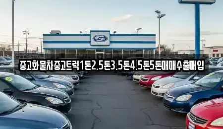 경상북도 영천시 과전동 장기렌트카,중고차,렌트카,단기렌트카,중고차매입,중고차매매