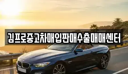 경상북도 영천시 과전동 중고차매입 전문 김프로중고차매입판매수출매매센터