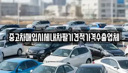 경상북도 영천시 과전동 중고차매입 전문 중고차매입시세내차팔기견적가격수출업체