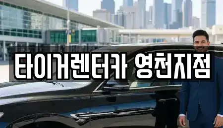 경상북도 영천시 완산동 렌트카 전문 타이거렌터카 영천지점