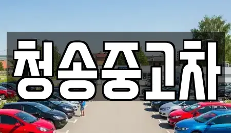 경상북도 청송군 진보면 중고차매입 전문 청송중고차