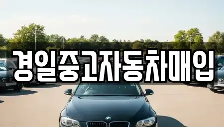 경상북도 칠곡군 석적읍 중고차 전문 경일중고자동차매입
