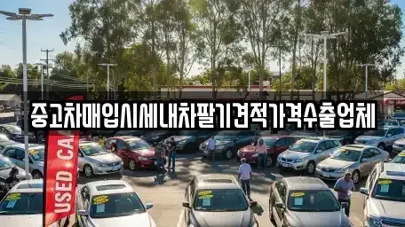 경상북도 칠곡군 석적읍 중고차 전문 중고차매입시세내차팔기견적가격수출업체