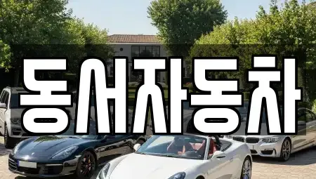 경상북도 칠곡군 석적읍 중고차매매 전문 동서자동차