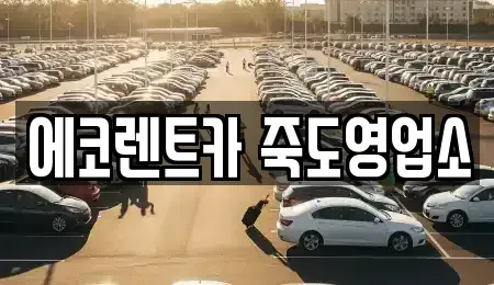 경상북도 포항시 남구 연일읍 렌트카 전문 에코렌트카 죽도영업소