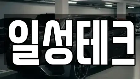 경상북도 포항시 남구 연일읍 중고차 전문 일성테크