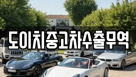 경상북도 포항시 남구 장흥동 중고차 전문 도이치중고차수출무역