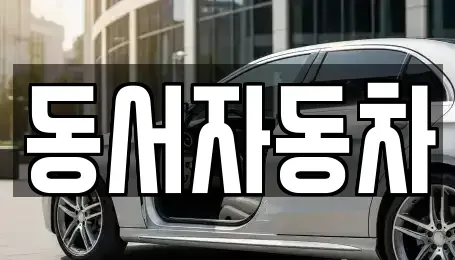 경상북도 포항시 남구 장흥동 중고차 전문 동서자동차