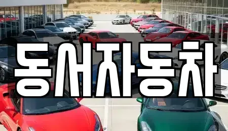 경상북도 포항시 북구 창포동 중고차 전문 동서자동차
