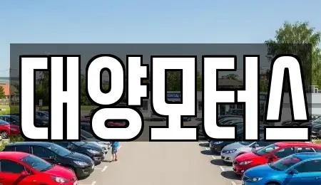 광주 광산구 산월동 중고차 전문 대양모터스