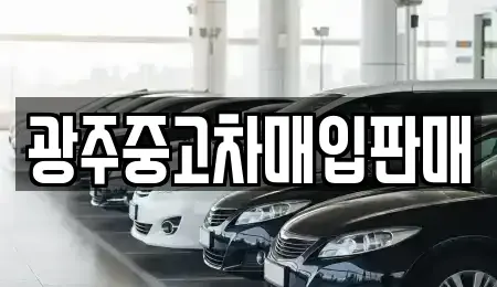 광주 광산구 유계동 중고차매입 전문 광주중고차매입판매