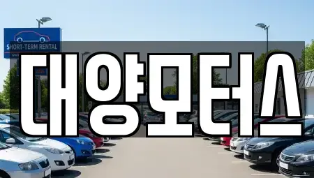 광주 동구 월남동 중고차매매 전문 대양모터스