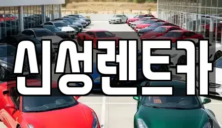 광주 북구 용전동 렌트카 전문 신성렌트카