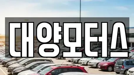 광주 북구 용전동 중고차매매 전문 대양모터스