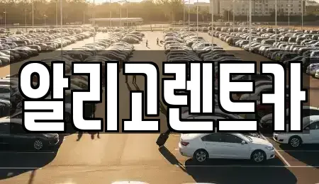 광주 서구 쌍촌동 단기렌트카 전문 알리고렌트카