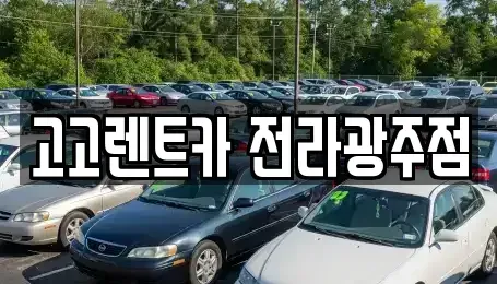 광주 서구 쌍촌동 렌트카 전문 고고렌트카 전라광주점