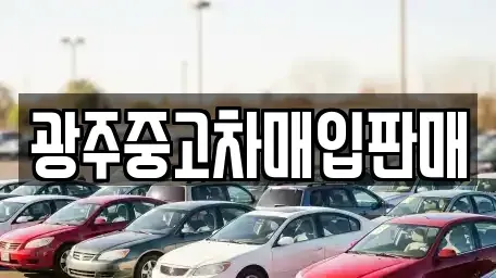 광주광역시 광산구 본덕동 중고차매입 전문 광주중고차매입판매