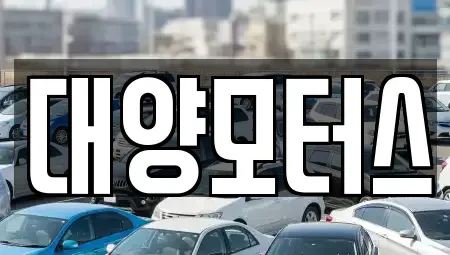광주광역시 광산구 산월동 중고차매매 전문 대양모터스
