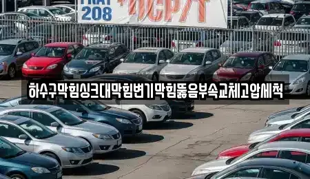 광주광역시 광산구 안청동 중고차매입 전문 하수구막힘싱크대막힘변기막힘뚫음부속교체고압세척