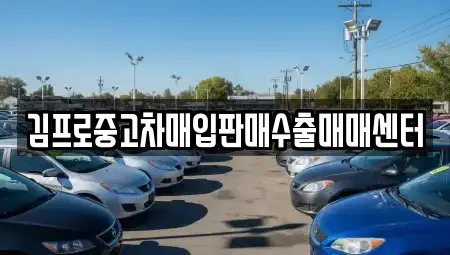 광주광역시 동구 황금동 중고차 전문 김프로중고차매입판매수출매매센터