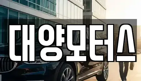 광주광역시 동구 황금동 중고차 전문 대양모터스