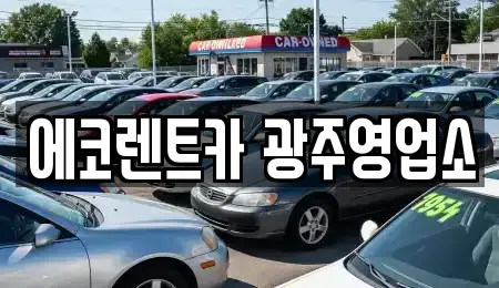 광주광역시 북구 동림동 렌트카 전문 에코렌트카 광주영업소
