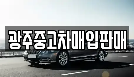 광주광역시 북구 동림동 중고차매매 전문 광주중고차매입판매