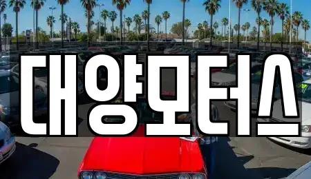 광주광역시 북구 동림동 중고차매매,단기렌트카,중고차매입,장기렌트카,중고차,렌트카