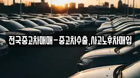 광주광역시 북구 동림동 중고차매매 전문 전국중고차매매-중고차수출,사고노후차매입