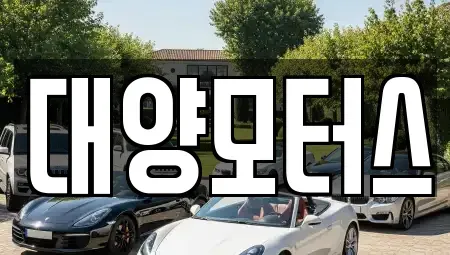 광주광역시 북구 용전동 중고차 전문 대양모터스