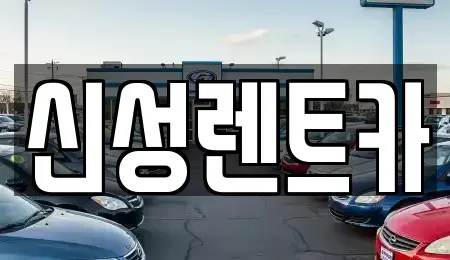 광주광역시 북구 월출동 렌트카 전문 신성렌트카