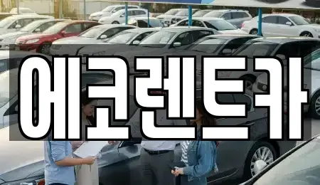 광주광역시 북구 월출동 렌트카 전문 에코렌트카
