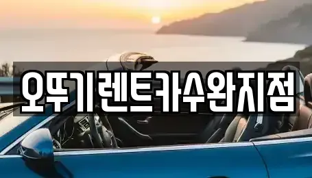 광주광역시 북구 월출동 렌트카 전문 오뚜기렌트카수완지점