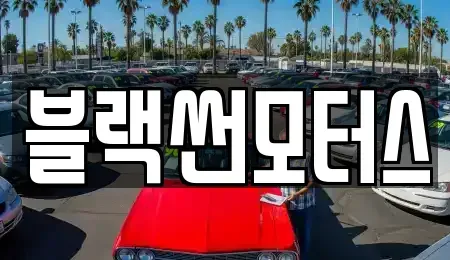 광주광역시 북구 월출동 중고차매매 전문 블랙썬모터스
