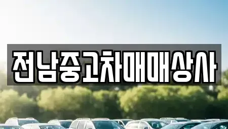 광주광역시 북구 월출동 중고차매매 전문 전남중고차매매상사