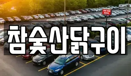 광주광역시 서구 덕흥동 중고차매매 전문 참숯산닭구이