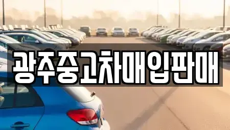 광주광역시 서구 동천동 중고차 전문 광주중고차매입판매