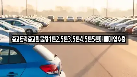 광주광역시 서구 동천동 중고차 전문 중고트럭중고화물차1톤2.5톤3.5톤4.5톤5톤매매매입수출