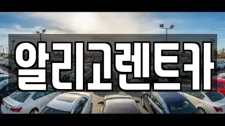 광주광역시 서구 치평동 장기렌트카 전문 알리고렌트카