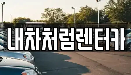 대구 달서구 대천동 렌트카 전문 내차처럼렌터카