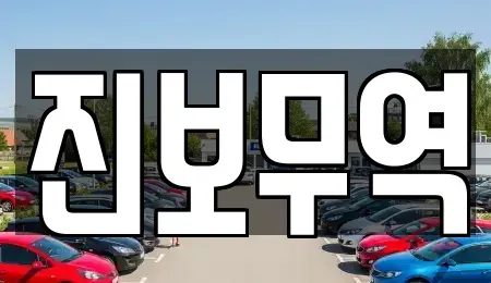 대구 달서구 대천동 중고차 전문 진보무역