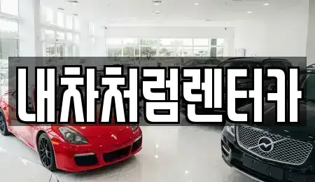 대구 동구 신용동 렌트카,단기렌트카,장기렌트카,중고차,중고차매매,중고차매입