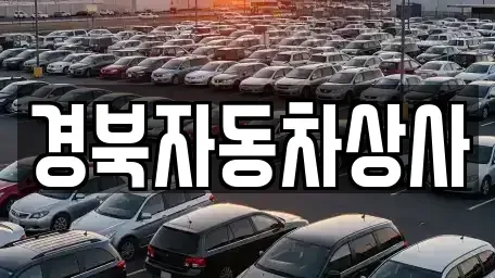 대구 동구 지묘동 중고차 전문 경북자동차상사