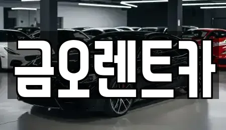 대구 북구 고성동2가 장기렌트카 전문 금오렌트카