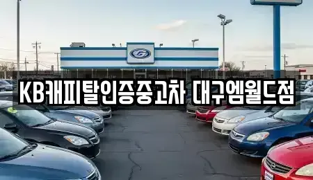 대구 서구 이현동 중고차매매 전문 KB캐피탈인증중고차 대구엠월드점