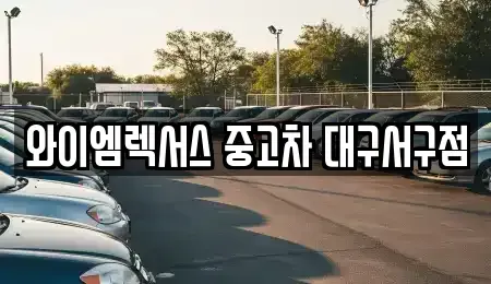 대구 서구 이현동 중고차매매 전문 와이엠렉서스 중고차 대구서구점