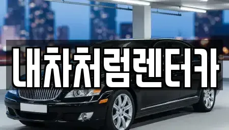 대구 수성구 중동 렌트카 전문 내차처럼렌터카