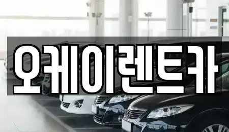 대구 수성구 중동 렌트카 전문 오케이렌트카