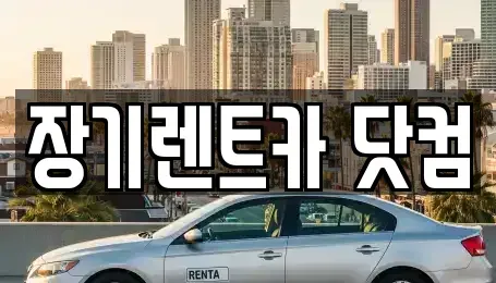 대구 수성구 중동 장기렌트카 전문 장기렌트카 닷컴